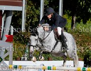 Maestri Beverly All GioCav2013 S5 1178 : Beverly All, Campionati Italiani Giovani Cavalli, Cattolica, Maestri Samuele, ph Stefano Secchi ©